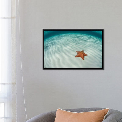 «A West Indian Starfish on the Seafloor in Turneffe Atoll Belize», reproduction de photo sur toile