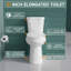 Toilette allongée deux pièces pour personnes âgées 21 po, chasse simple 1,28 GPF Tornado, carte 1000g, blanc-113957695