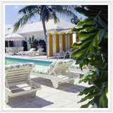 The Pool Area Of Olympiakos Giclee Print by Horst P. Horst