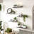 Alarins 5 Piece Wood Floating Shelf-1158485802