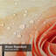 Aquarelle rose rétro vintage avec 12 crochets-781953659
