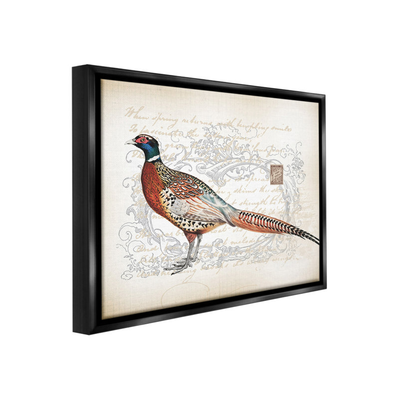 "Pheasant & Vintage Pattern" par Lula Bijoux sur toile, Cadre flottant noir de jais, H 17 po x l 21 po