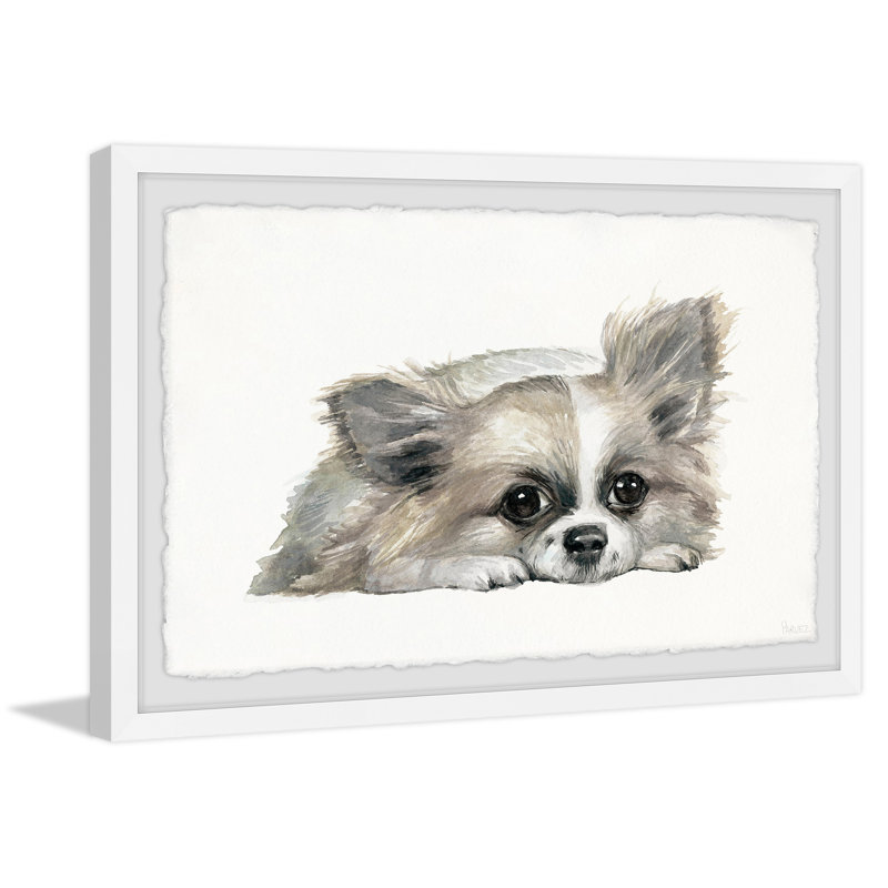 Little Furry Friend by Parvez Taj - Single Picture Frame Painting, 38 cm H x 45 cm W