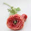 Ranunculus Faux Floral-1373698712