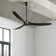 Obsidian Ceiling Fan
