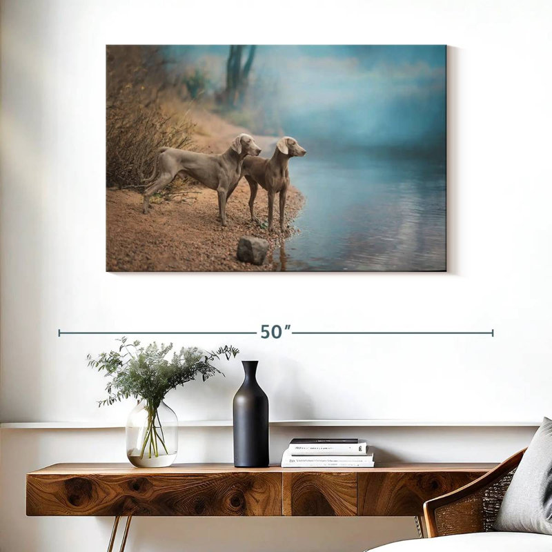 Chiens de Weimar Brampt, H 26 po x l 39 po