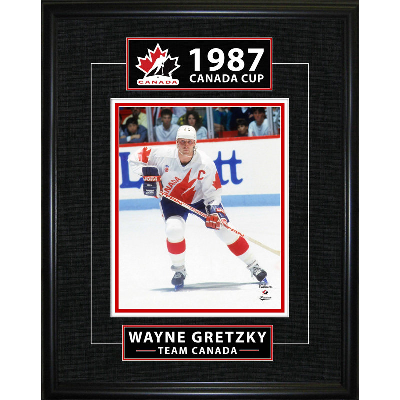 Wayne Gretzky, coupe du Canada de la série classique de 16 x 20 de la Coupe Canada