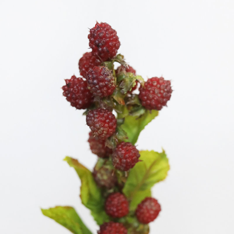 Blackberry Fruit Faux Floral, Red