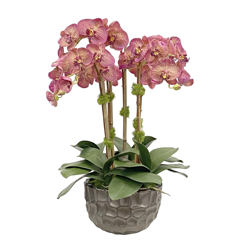 Faux Silk Orchids Arrangement in Pot