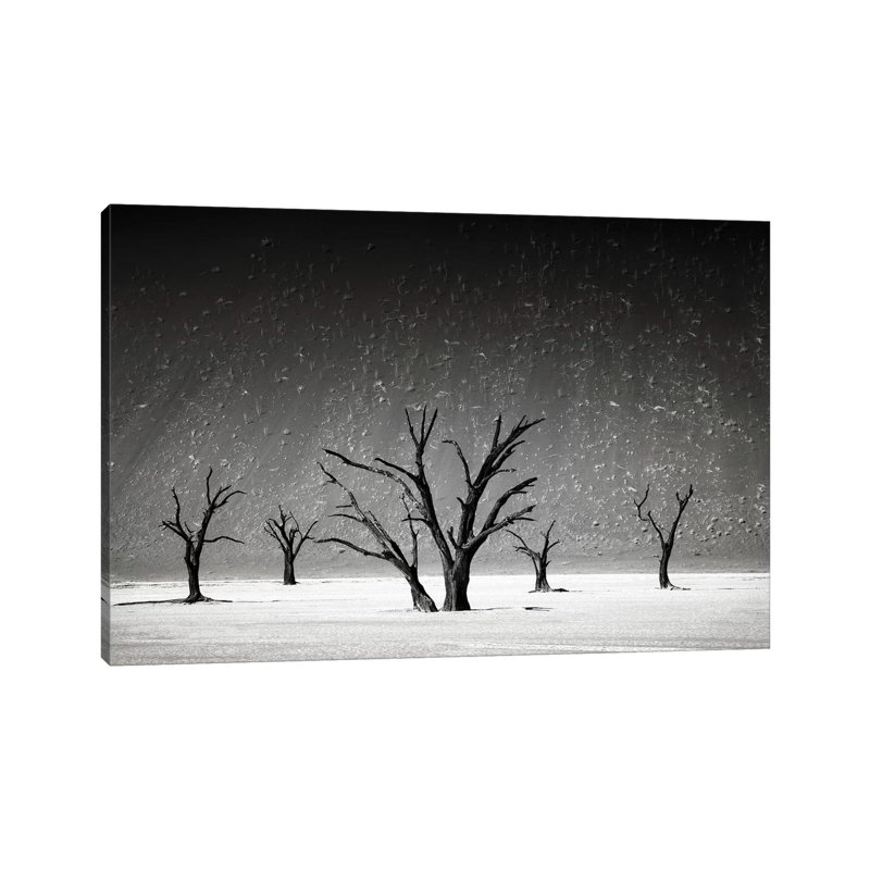 Staying Up - Wrapped Canvas Print, 45.72cm H x 66.04cm W x 1.905cm D