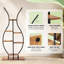 Support pour plante Asreiale