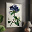 AntiqueFloralFolioIV, reproduction encadrée - bois massif 2768839-362104784