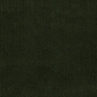 Saranac Cord Fabric