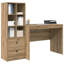 Desk With Storage With Shelf 2 Pcs 100 X 50 X 76 Cm-833828524