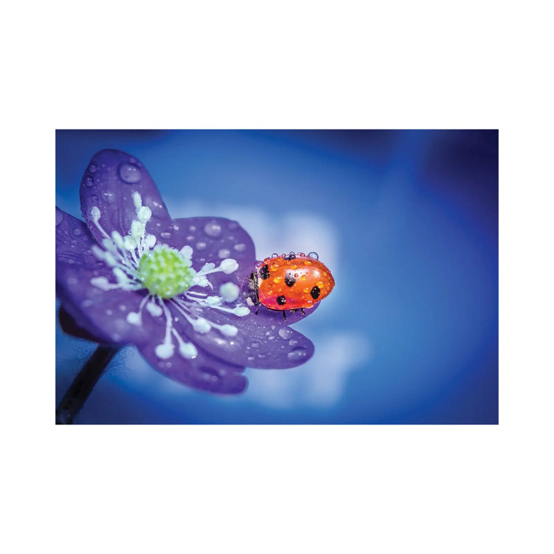 Mini World by Lauri Lohi - Wrapped Canvas Painting, 66.04 cm H x 45.72 cm W x 1.91 cm D