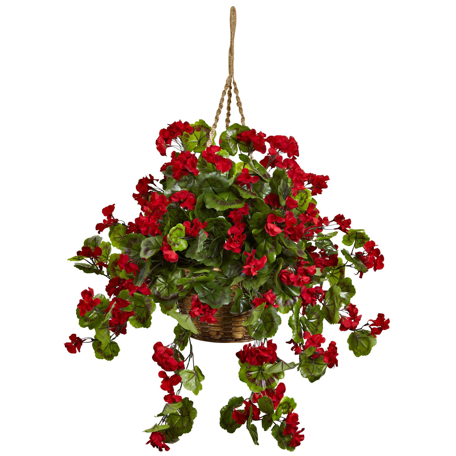 Primrue Geranium Hanging Basket UV Resistant (Indoor/Outdoor) | Wayfair