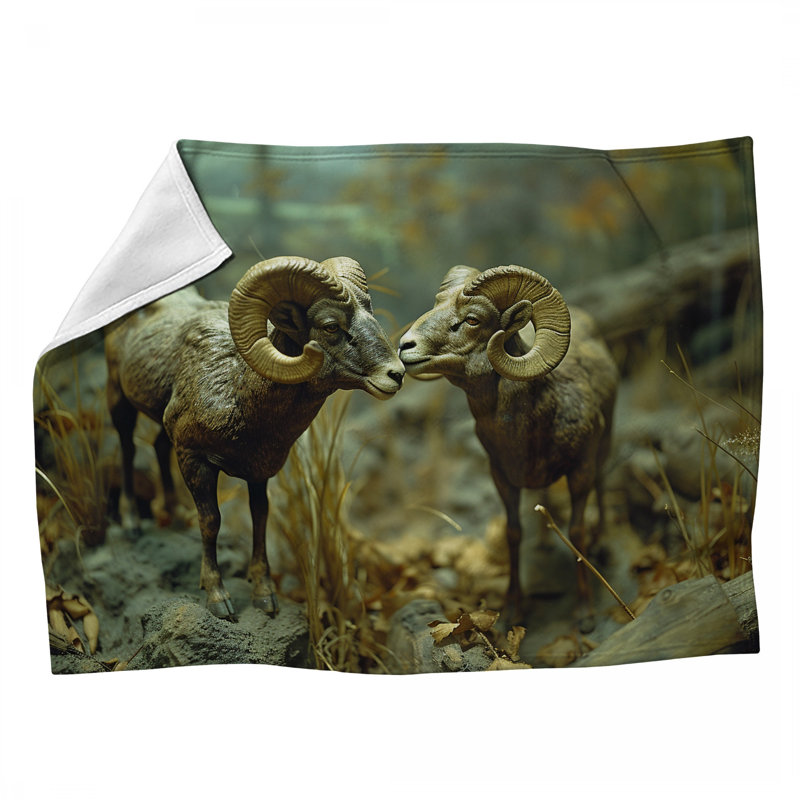 Jeté en molleton Rams, L 60 po x L 80 po