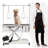 Super Deluxe Electric Pet Grooming Table