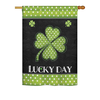 Double Sided 40'' H x 28'' W Polyester St. Patrick's Day House Flag