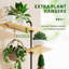 Support mural pour plante à 4 niveaux