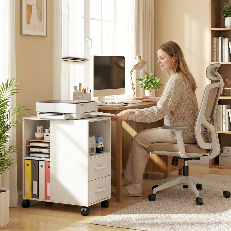 Printer Cabinet