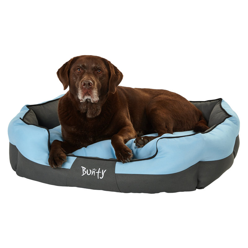 Levesque Polyester Pet Bed, Blue, 41cm H x 43cm W x 27cm D