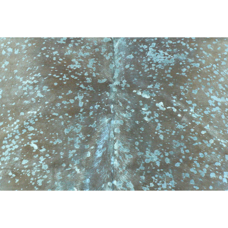 Staley Animal Print Cowhide 150cm X 200cm Area Rug