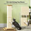 Scratching Post-1000308036-1000308037