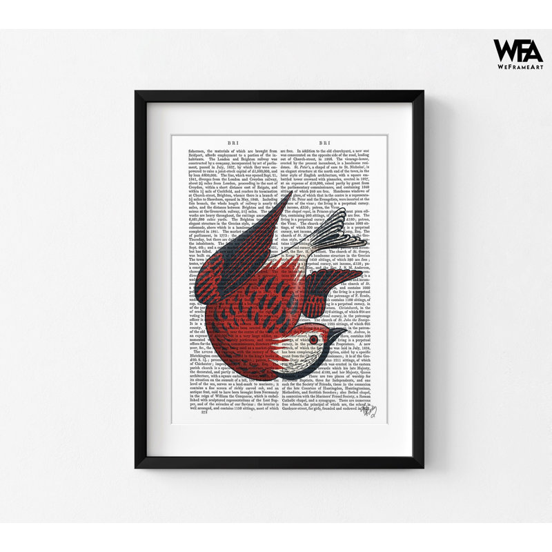 Reproduction d'oiseau rouge par Fab Funky, Reproduction encadrée avec passe-partout, Noir, noir, noir, noir