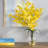 Orchid Arrangement-1239110144