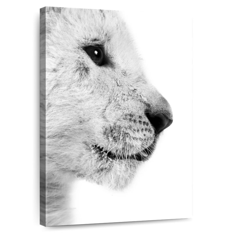Brampt Lion Cub Profile, 12" H x 8" W