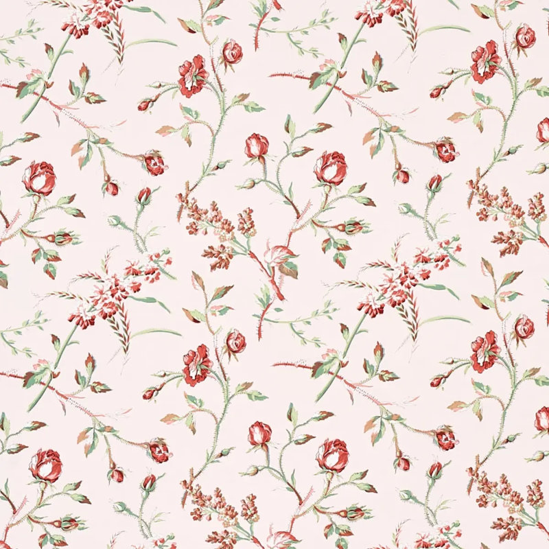 Tissu Beluze, Rougir