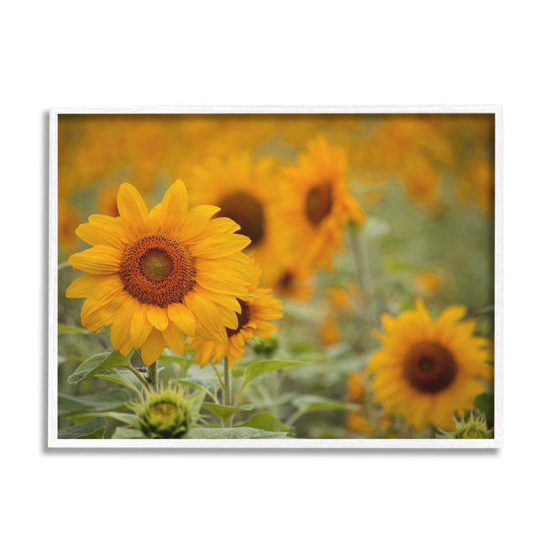 Art de giclée par Lil 'Rue, H 11 po x l 14 po x P 1,5 po, Giclée encadrée blanc bord de mer