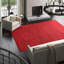 Hidden Path Striped Area Rug in Black/Red-40705824