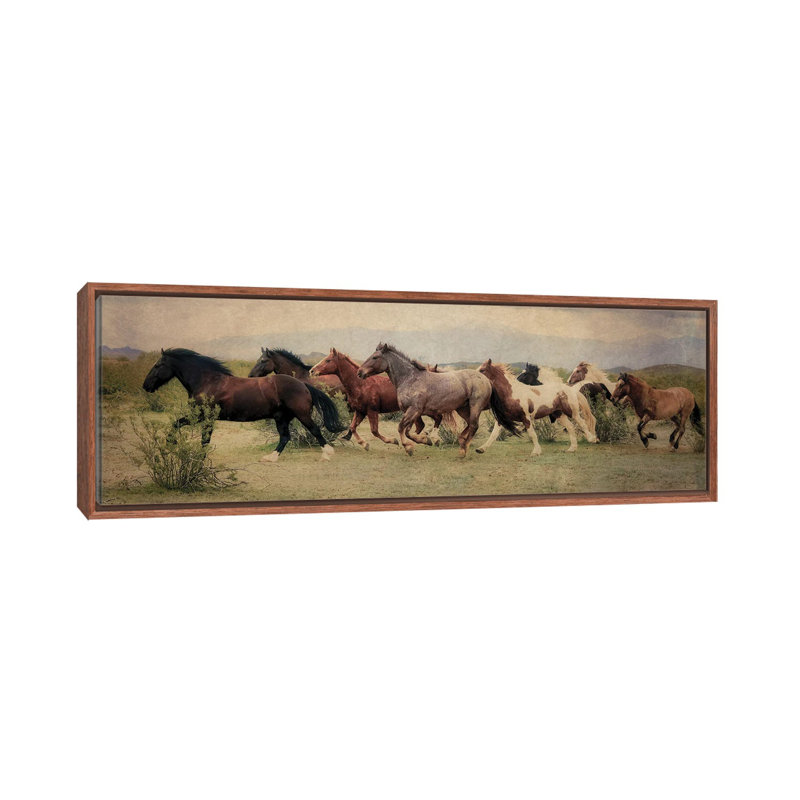A Run Through The Desert by Rhonda Thompson - Floater Frame Panoramic Gallery-Wrapped Canvas Giclée on Canvas