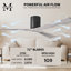 Irene Ceiling Fan-435629846-435741719-489064218