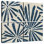 Signaux indigo V