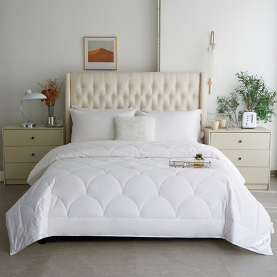 ROYAL ELITE Cooling Comforter Twin XL, Down Alternative Bamboo Rayon Duvet Insert