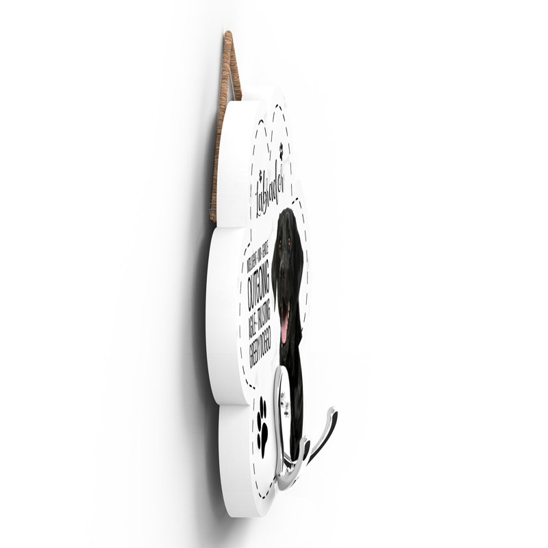 Hilburn Wall Wall Hook