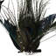 Peacock Ocelli Feather Clip-On Christmas Ornament -6"