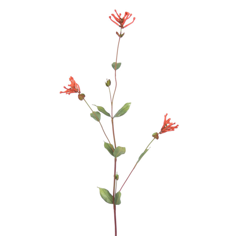 Arrangement