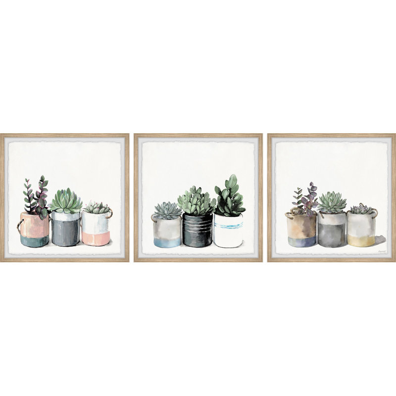 « cacti collection »-ensemble de 3 reproductions de photos encadrées sur papier, H 12 po x l 12 po x P 1,5 po, Brun