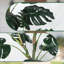 Plante artificielle réaliste résistante aux rayons UV - arbre artificiel réaliste 4 pi / 5 pi / 6 pi avec tiges pliables et pot-1678982307