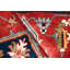 Serapi Hand Knotted Wool Oriental Area Rug in Rust-53602567