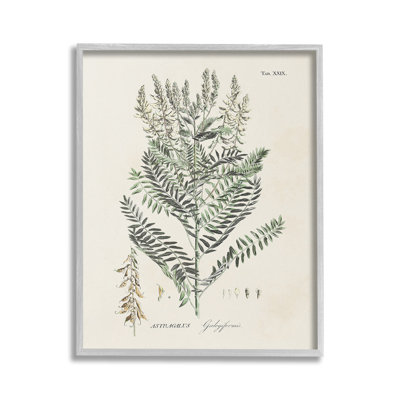 Forêt, plante, étude, giclée, ArtbyMartini