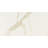 Ardena 12 in. x 24 in. Matte Porcelain Stone Look Floor and Wall Tile-97985709