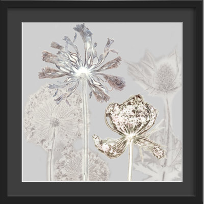 Gillian Arnold - Single Picture Frame Print