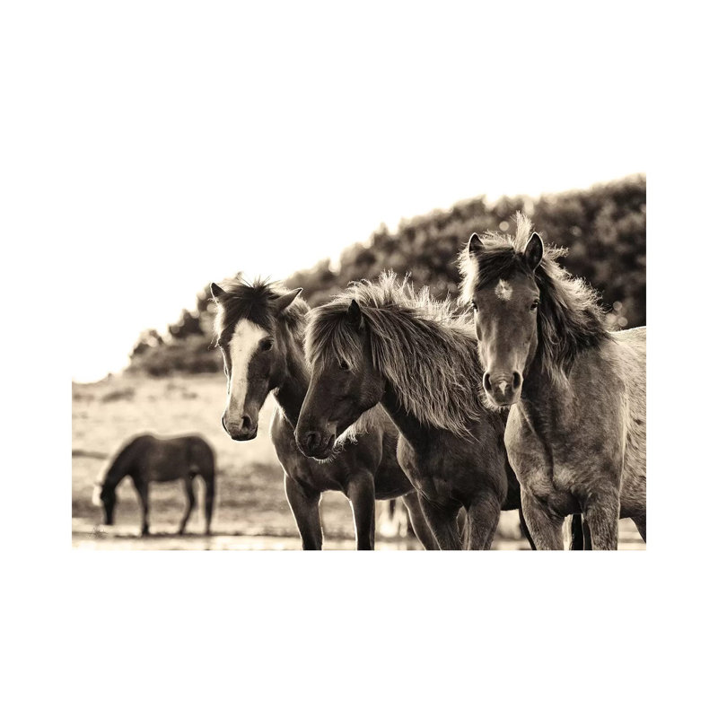 Horses Three Sepia by Aledanda - Wrapped Canvas Print, 20.32 cm H x 30.48 cm W