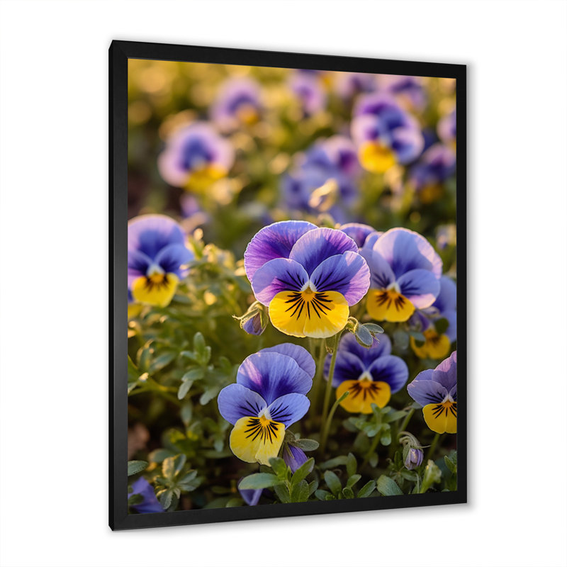«Mauve, jaune, nature, pensées IV» sur toile, H 20 po x l 12 po x P 1 po, Cadre simple noir