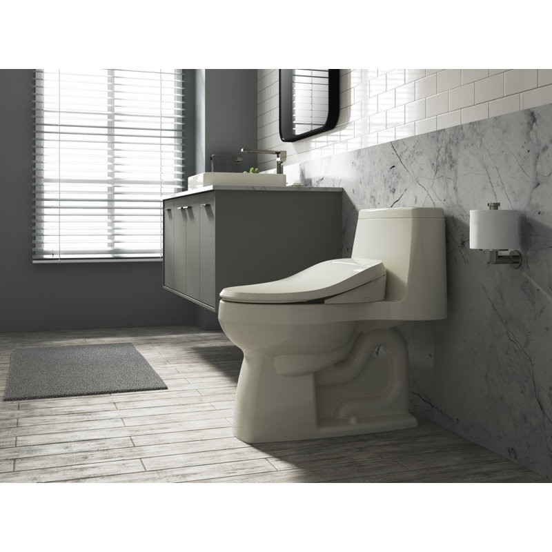 C3® Toilet Seat Bidet Elongated Bidet Seat, Biscuit